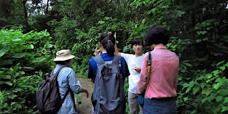 Love MacRitchie Walk by Toddycats - Venus Loop (13 Jan 2019) primary image