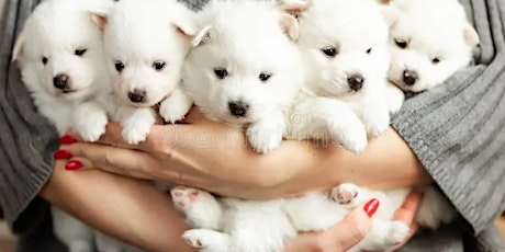 Play, Cuddle and Have Fun with ADORABLE Puppies. Enjoy a free Mocktail
