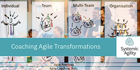 Primaire afbeelding van Coaching Agile Transformations (Online, August 2023)