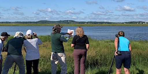 Imagem principal do evento Plum Island & Parker River Bird Walk with Peter Alden