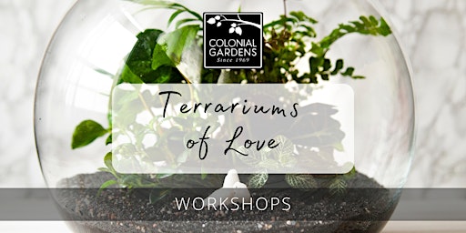 Primaire afbeelding van Terrariums of Love Workshop