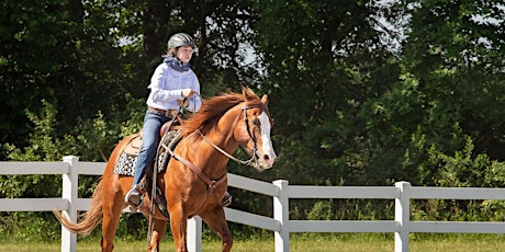 Primaire afbeelding van Castle country 4-H horse competition open house
