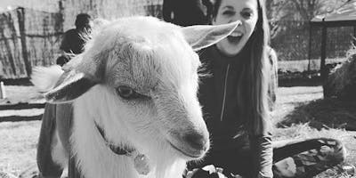 Memorial Day Weekend Goat Yoga Richardson!