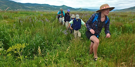 Imagem principal de Swaner Saturday Morning Nature Walks