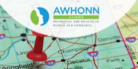 Illinois AWHONN 2019 Section Conference primary image