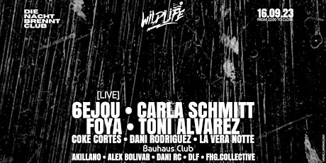 Imagen principal de Wildlife w/ 6EJOU + CARLA SCHMITT + TONI ALVAREZ at Trax Club (Vigo)