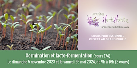 Imagen principal de Germination et lacto-fermentation (Cours 174)