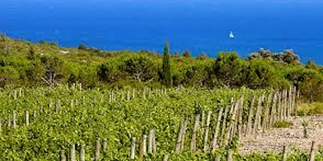 Southern France: Wines of Provence and Languedoc | Boston Wine School @ Roslindale primary image
