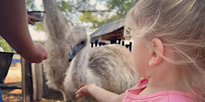 Immagine principale di Farm Tour - Meet our Animals! 