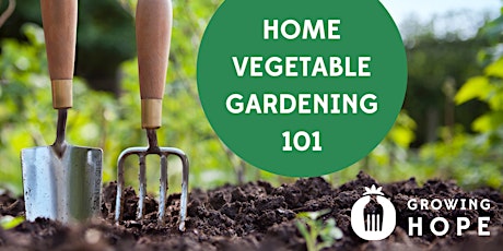 Primaire afbeelding van Home Vegetable Gardening 101 - Monday afternoons