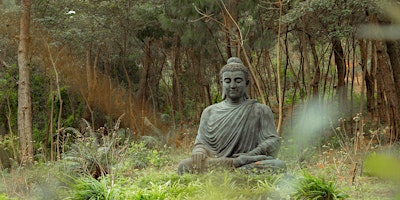 Imagem principal do evento Awareness Meditation