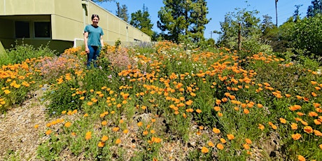 Help Us Maintain the Woodland Library Drought Tolerant Garden! primary image