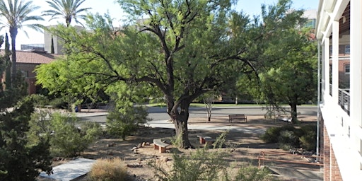 Imagem principal do evento Old Main: New Directions in Landscape U of Arizona Campus Arboretum Tour