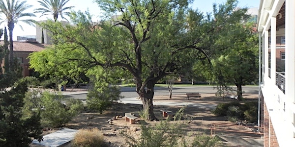 Old Main: New Directions in Landscape U of Arizona Campus Arboretum Tour