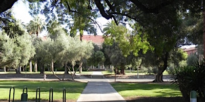 Immagine principale di Trees around the World, a U of Arizona Campus Arboretum Tour 