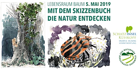 Hauptbild für Mit dem Skizzenbuch die Natur entdecken - Lebensraum Baum