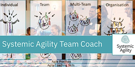 Imagen principal de Systemic Agility Team Coach (Online, September 2023)