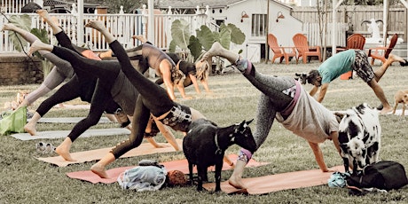 Goat Yoga at Flowertown Charm