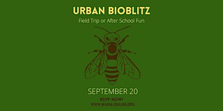 Urban BioBlitz 2023 primary image