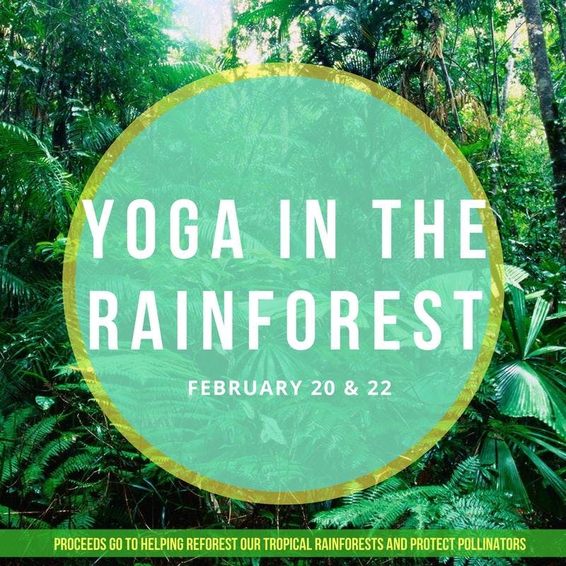 Yoga in the Rainforest