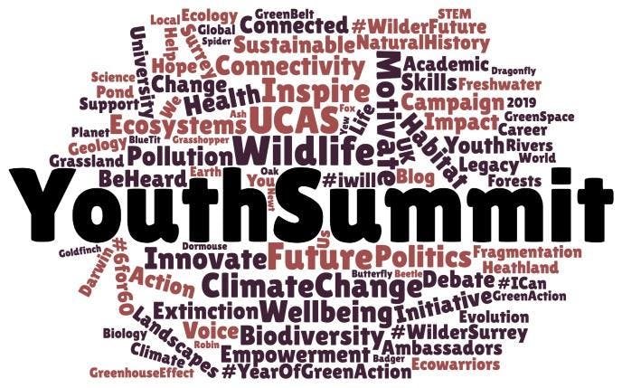 Youth Summit