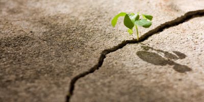 L'Aquila - Re-Think Timber | Tra sicurezza e comfort abitativo L'Aquila - Re-Think Timber | Tra sicurezza e comfort abitativo