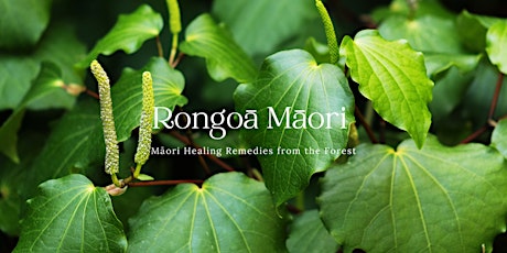 Rongoa Māori - A workshop about Māori Healing Remedies from the Forest primary image