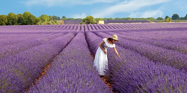 Provence Travel Info Meeting