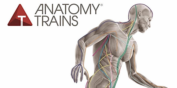 Anatomy Trains Structural Essentials: Head, Neck, & Jaw