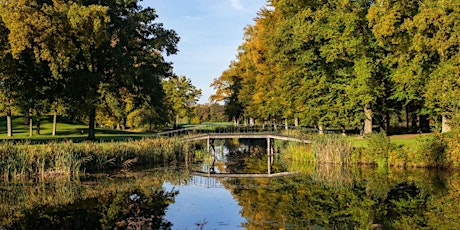 Primaire afbeelding van Natuurwandeling met coach in Mastbos (zonder lunch)