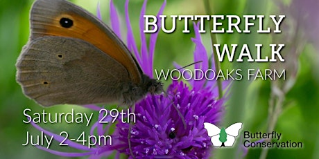 BUTTERFLY WALK AT WOODOAKS FARM WITH MARTIN TAYLOR primary image