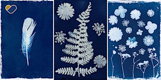 SWI Skill Share: Cyanotype photography for beginners primary image