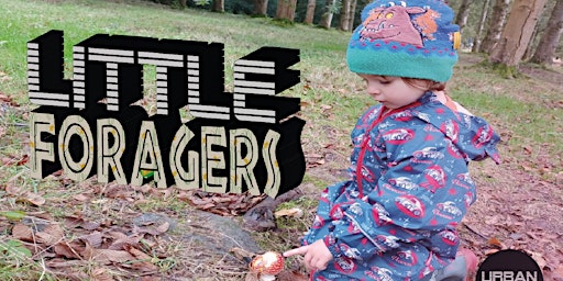 LITTLE FORAGERS - KIDS ROCK POOLING - BRIGHTON - October HALF TERM HOLIDAYS
