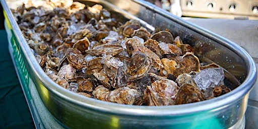 Texas Gulf Oyster Festival primary image