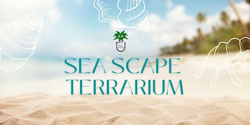 Seascape Terrarium Workshop primary image