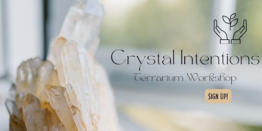 Crystal Intentions Terrarium Workshop primary image