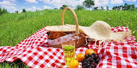Summer Picnic primary image