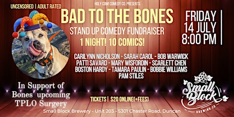 Imagem principal do evento Bad To The Bones - Stand Up Comedy Fundraiser