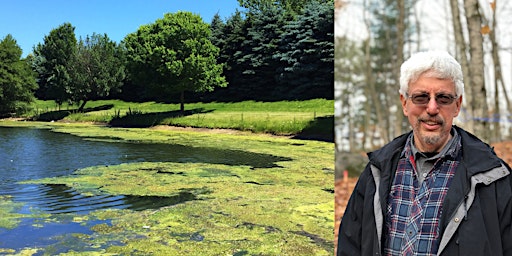 The Threat of Algal Blooms in Muskoka with Research Scientist Norman Yan primary image