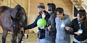 FREE  EAL 1hour session - The Strengths of a Team @UP WEST EQUESTRIAN, PEI primary image