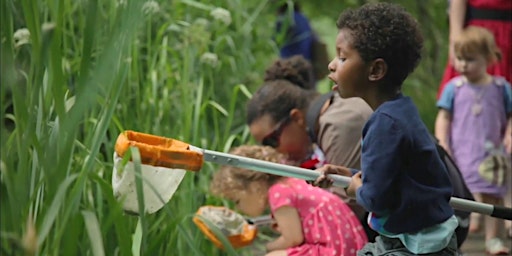 Urban Nature Club at Woodberry Wetlands primary image
