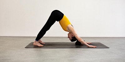 Hauptbild für Introduction to Yoga Course