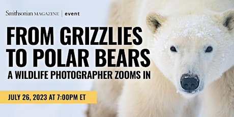 Imagem principal de From Grizzlies to Polar Bears: A Wildlife Photographer Zooms In