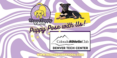 Immagine principale di Rescue Puppy Yoga @ Colorado Athletic Club Denver Tech Center 