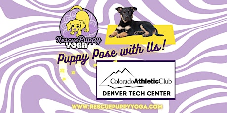 Imagem principal de Rescue Puppy Yoga @ Colorado Athletic Club Denver Tech Center