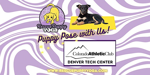 Immagine principale di Rescue Puppy Yoga @ Colorado Athletic Club Denver Tech Center 