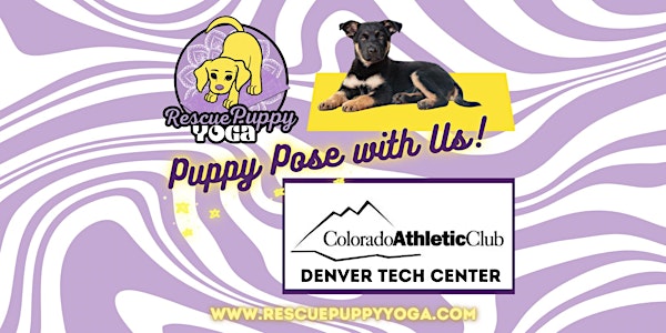 Rescue Puppy Yoga @ Colorado Athletic Club Denver Tech Center