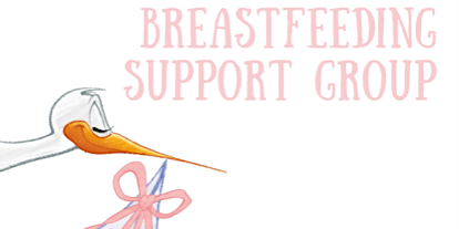 Breastfeeding Support Group primary image