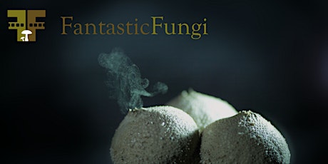 Fantastic Fungi Movie Night primary image