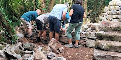 Dry Stonewalling Workshops in Merlin Woods Galway primary image